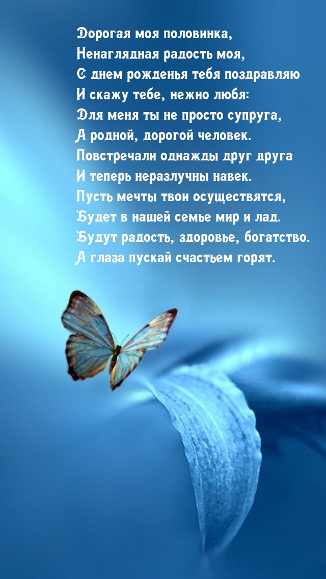 Дорогая моя половинка, ненаглядная радость моя