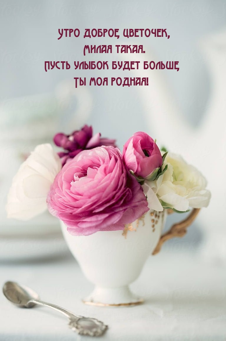 Утро доброе, цветочек, милая такая.