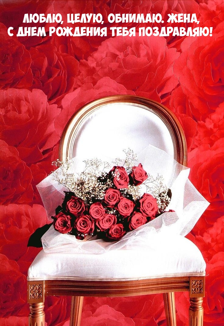 Люблю, целую, обнимаю. Жена, с днем рождения тебя поздравляю!