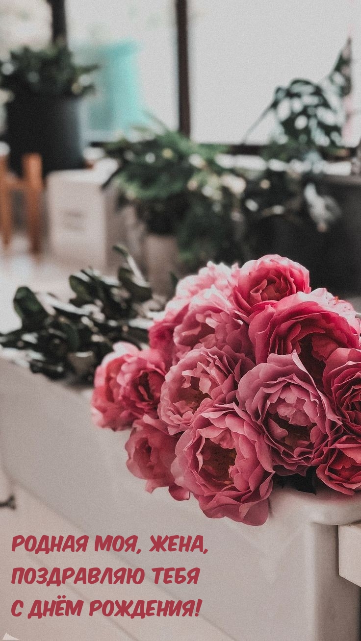 Родная моя, жена, поздравляю тебя с днём рождения! 
