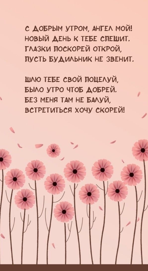 С добрым утром, ангел мой! Новый день к тебе спешит.