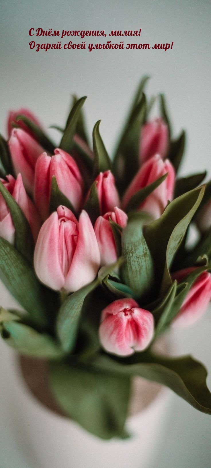 С Днём рождения, милая! Озаряй своей улыбкой этот мир!