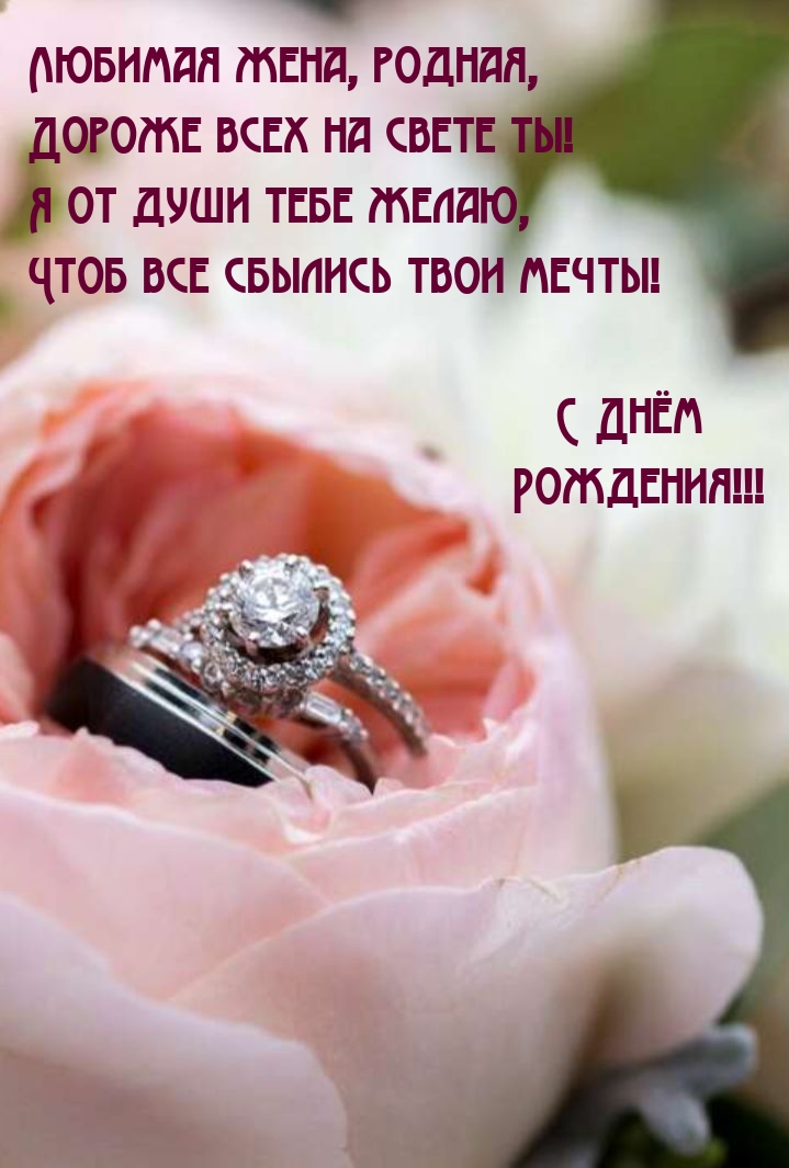 Любимая жена, родная, дороже всех на свете ты!