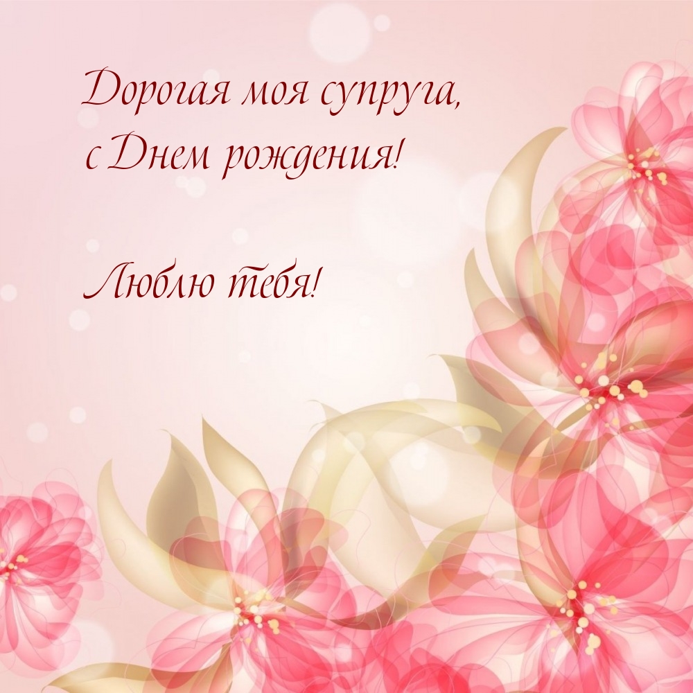 Дорогая моя супруга, с Днем рождения! Люблю тебя!