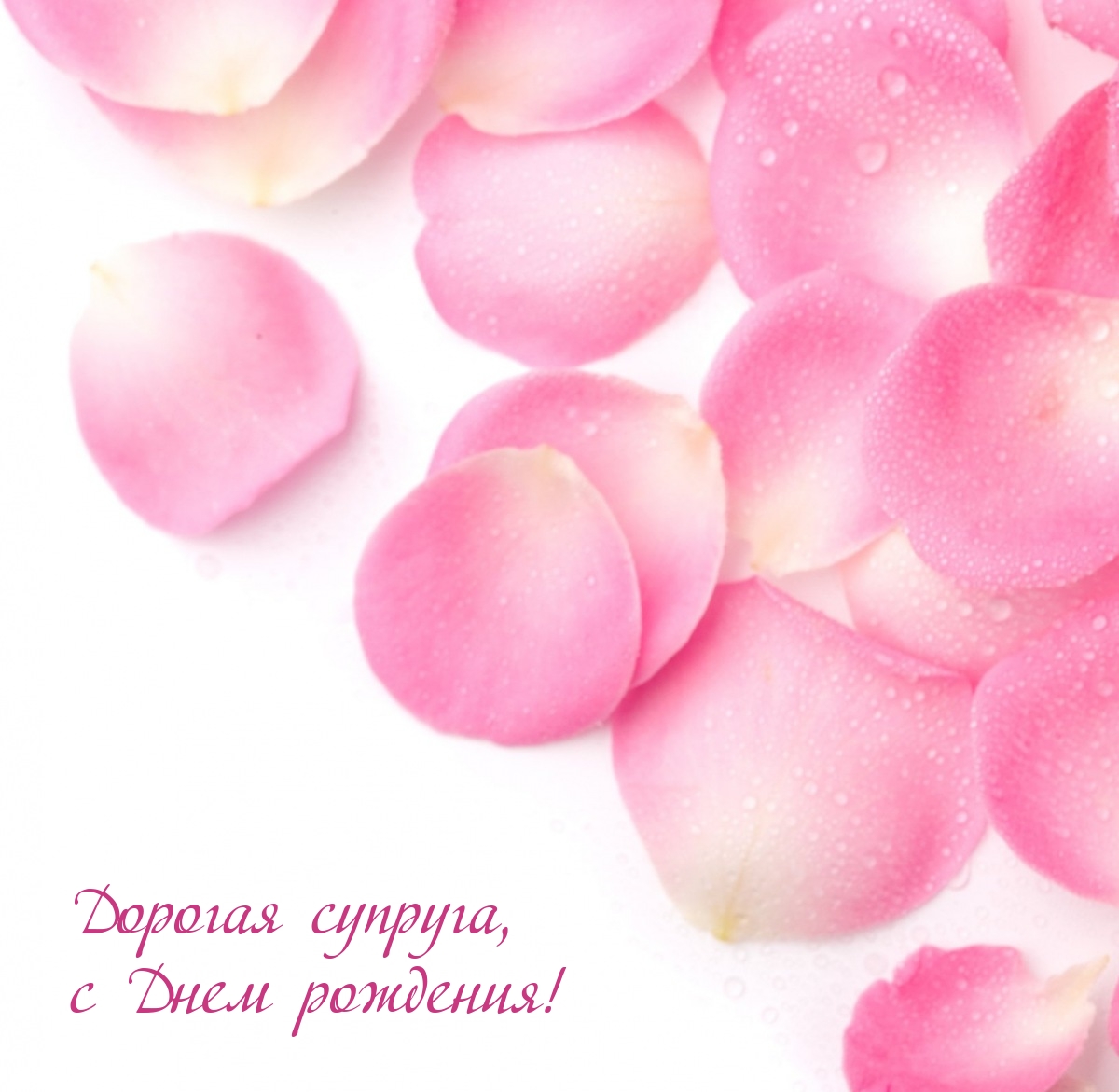 Дорогая супруга, с Днем рождения!