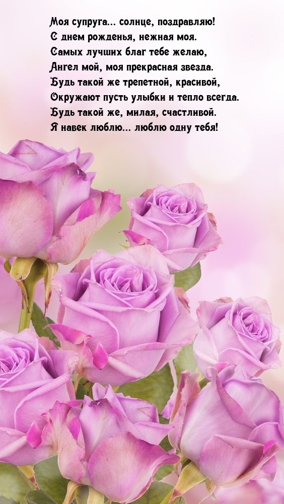 Моя супруга... солнце, поздравляю! С днем рожденья, нежная моя.