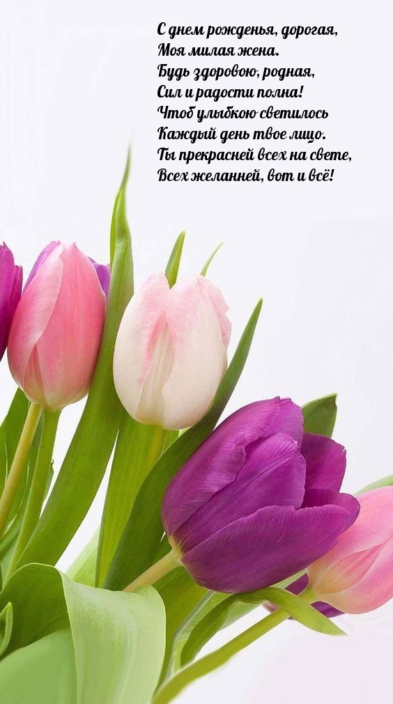 С днем рожденья, дорогая, Моя милая жена. Будь здоровою, родная