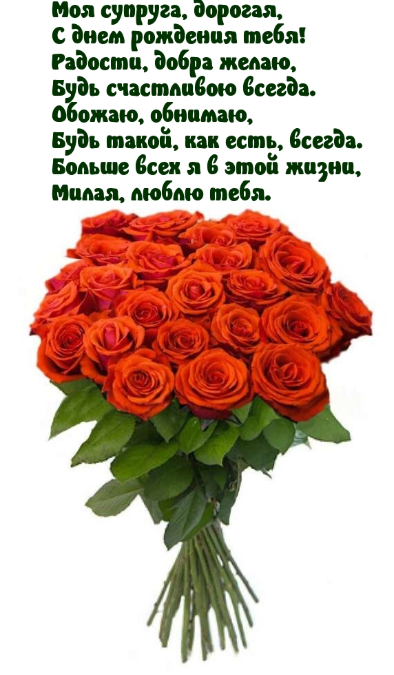 Моя супруга, дорогая, с днем рождения тебя! Радости, добра желаю
