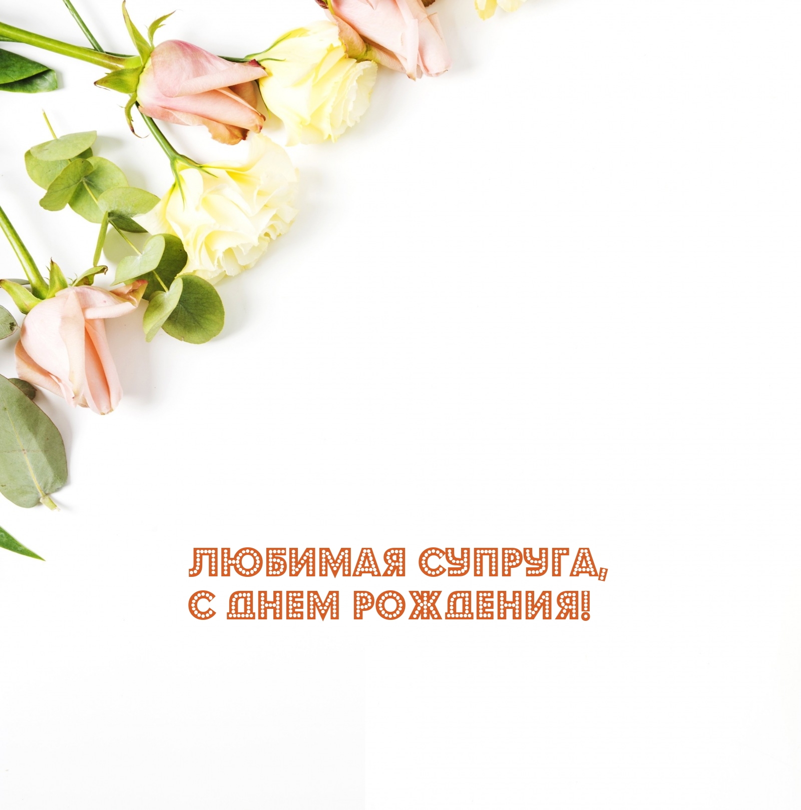 Любимая супруга, с Днем рождения!