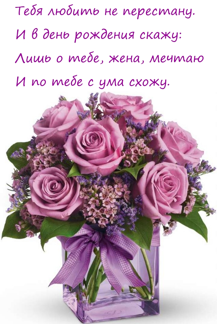 Лишь о тебе, жена, мечтаю и по тебе с ума схожу.