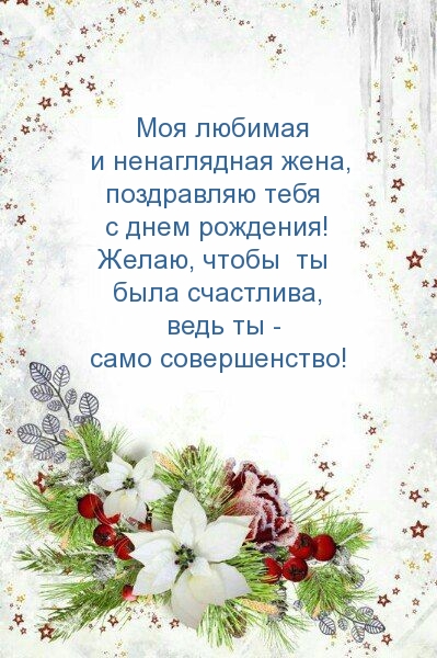 Моя любимая и ненаглядная жена, поздравляю с днем рождения! 