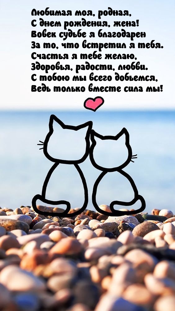 Любимая моя, родная, С днем рождения, жена! Вовек судьбе я благодарен
