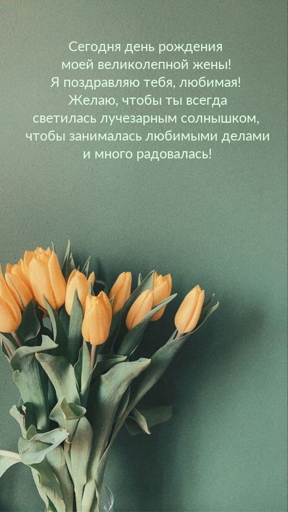 Сегодня день рождения моей великолепной жены! 