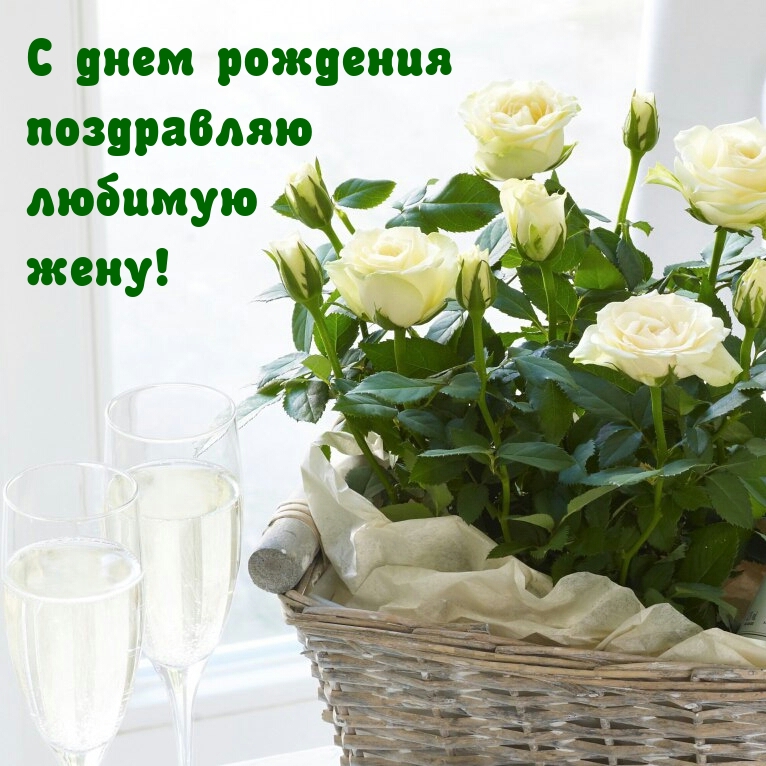 С днем рождения поздравляю любимую жену!
