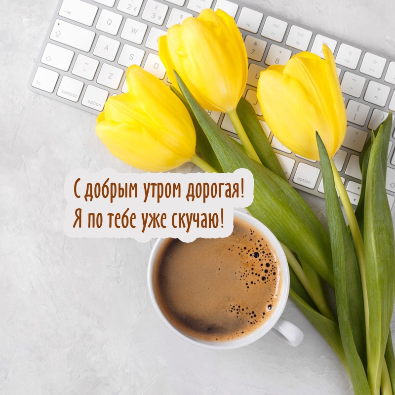 С добрым утром дорогая! Я по тебе уже скучаю!