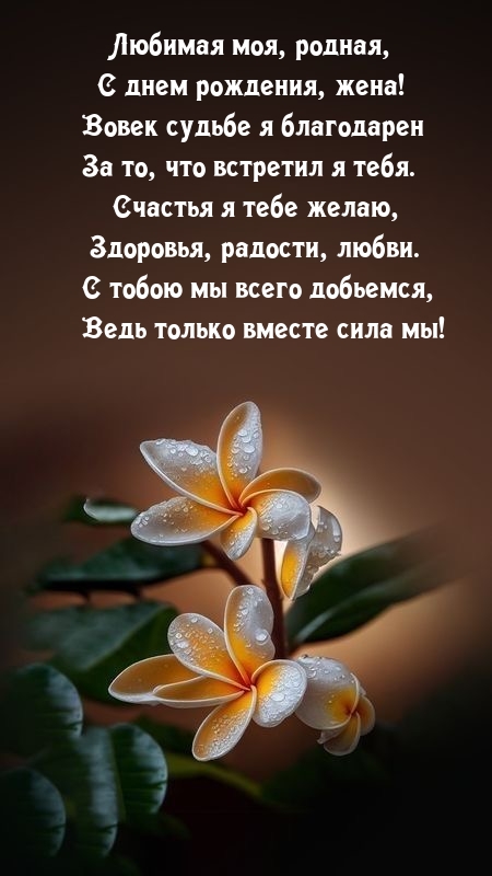 Любимая моя, родная, с днем рождения, жена!