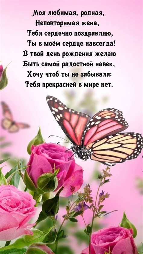 Моя любимая, родная, неповторимая жена