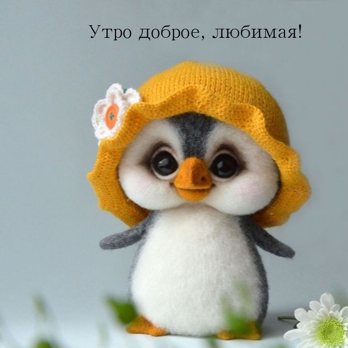 Утро доброе, любимая!