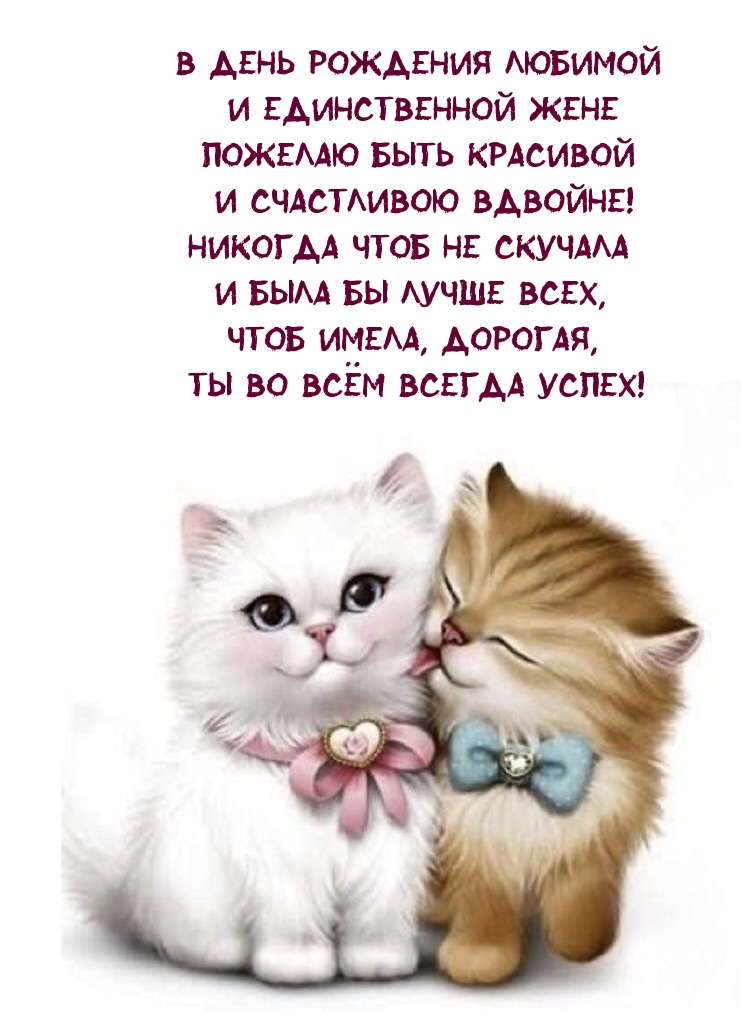 В день рождения любимой и единственной жене