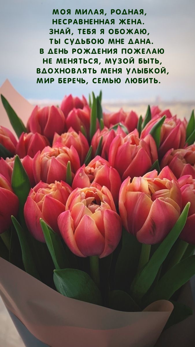 Моя милая, родная, несравненная жена.