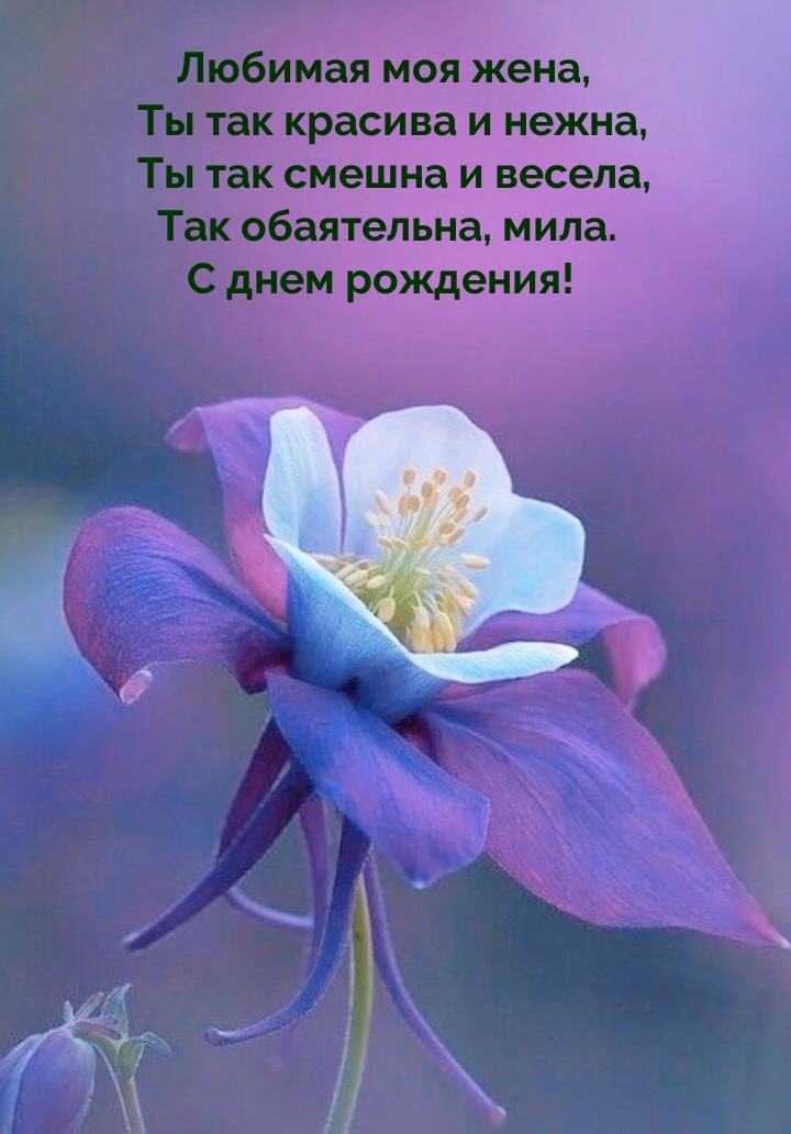 Любимая моя жена, ты так красива и нежна
