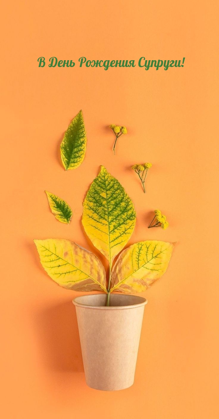 В День Рождения Супруги!