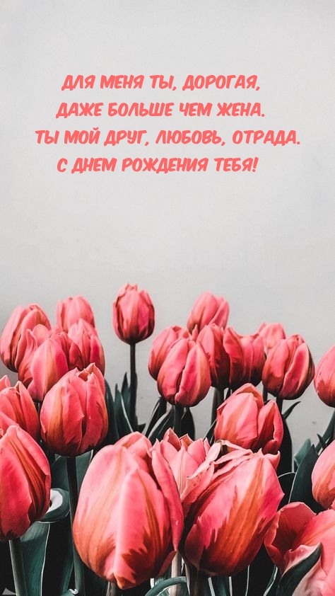 Ты мой друг, любовь, отрада. С днем рождения тебя!