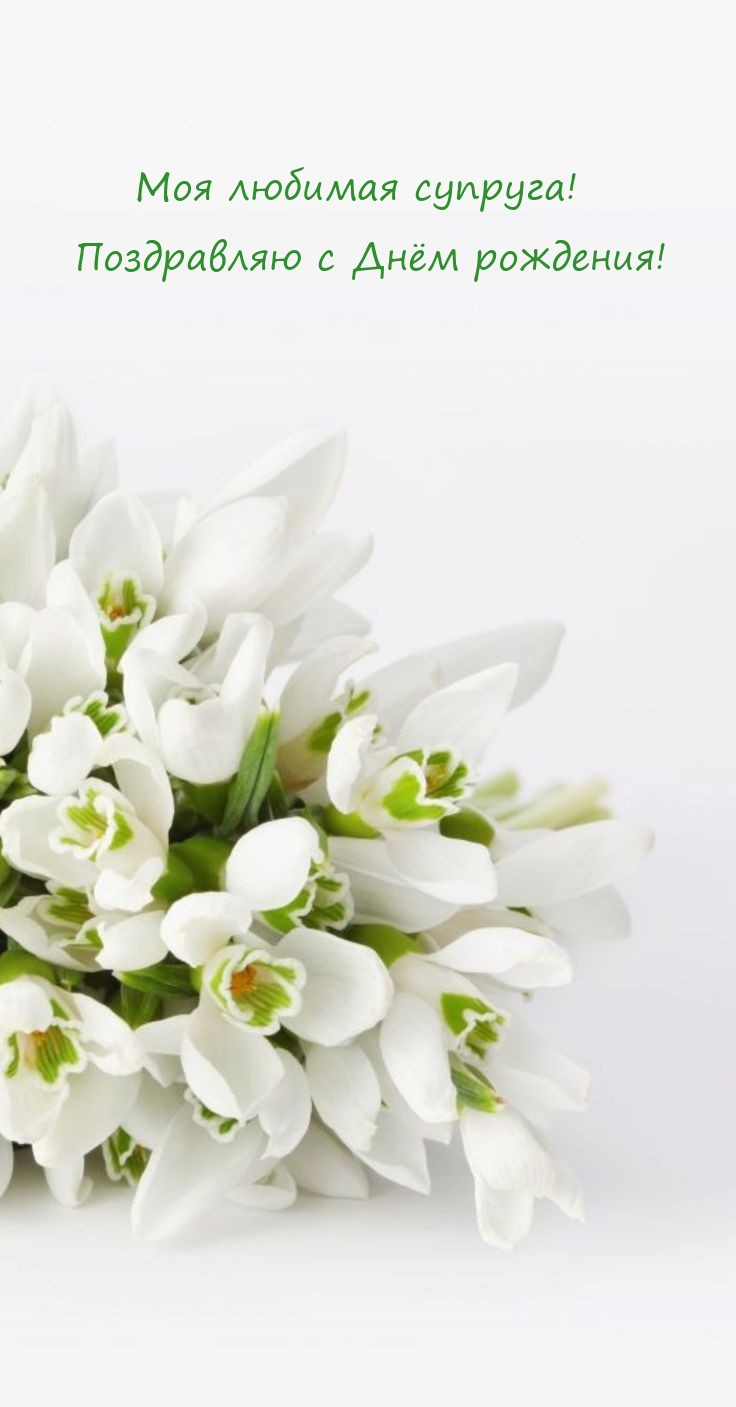Моя любимая супруга! Поздравляю с Днём рождения! 