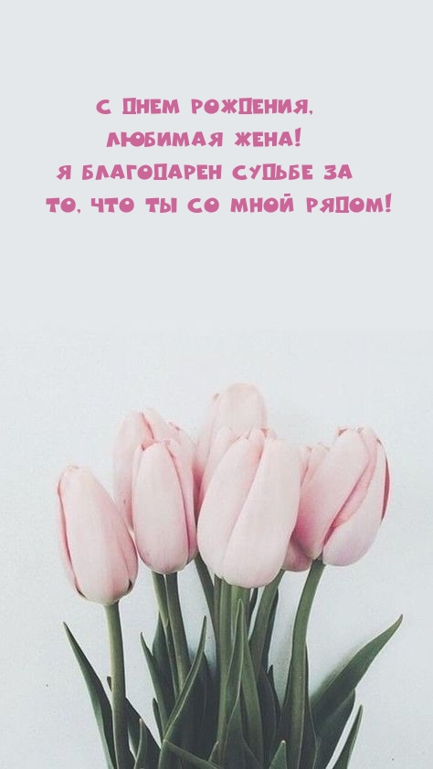 С Днем рождения, любимая жена! Я благодарен судьбе