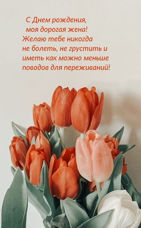 С Днем рождения, моя дорогая жена! Желаю тебе никогда не болеть