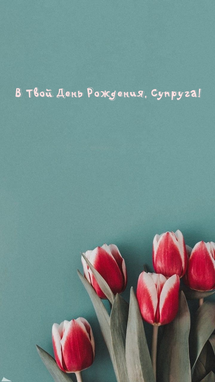 В Твой День Рождения, Супруга!