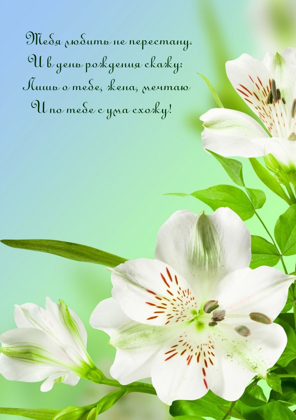 Лишь о тебе, жена, мечтаю и по тебе с ума схожу!