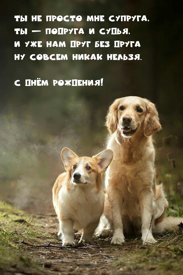 Ты не просто мне супруга, Ты — подруга и судья