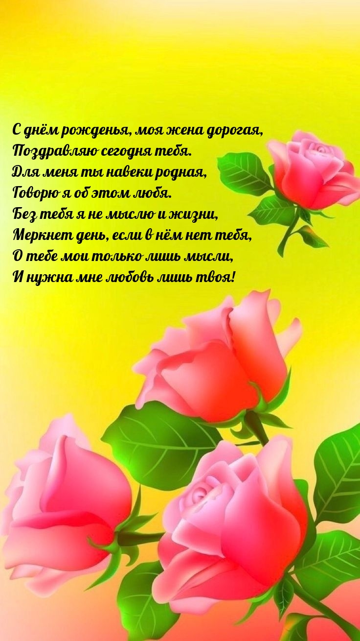 С днём рожденья, моя жена дорогая, поздравляю сегодня тебя.