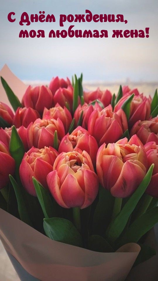 С Днём рождения, моя любимая жена!