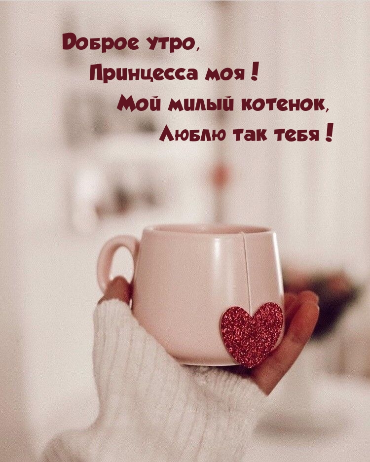 Доброе утро, Принцесса моя! Мой милый котенок, Люблю так тебя!
