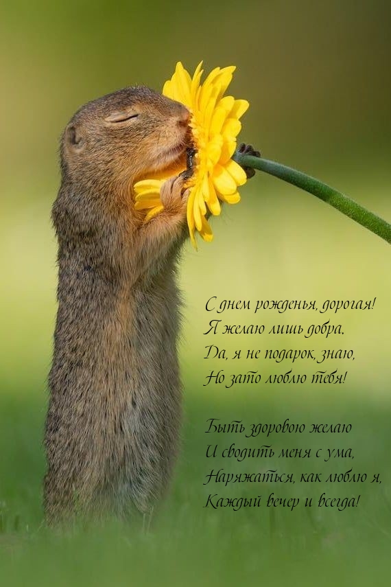 С днем рожденья, дорогая! Я желаю лишь добра.