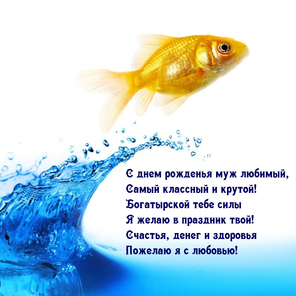 С днем рожденья муж любимый, самый классный и крутой!