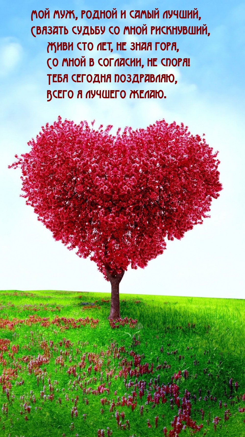 Мой муж, родной и самый лучший, связать судьбу со мной рискнувший