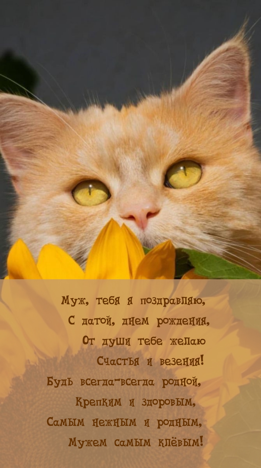 Муж, тебя я поздравляю, с датой, днем рождения