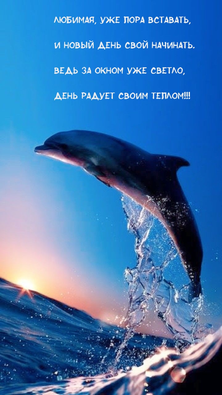 Любимая, уже пора вставать, и новый день свой начинать.