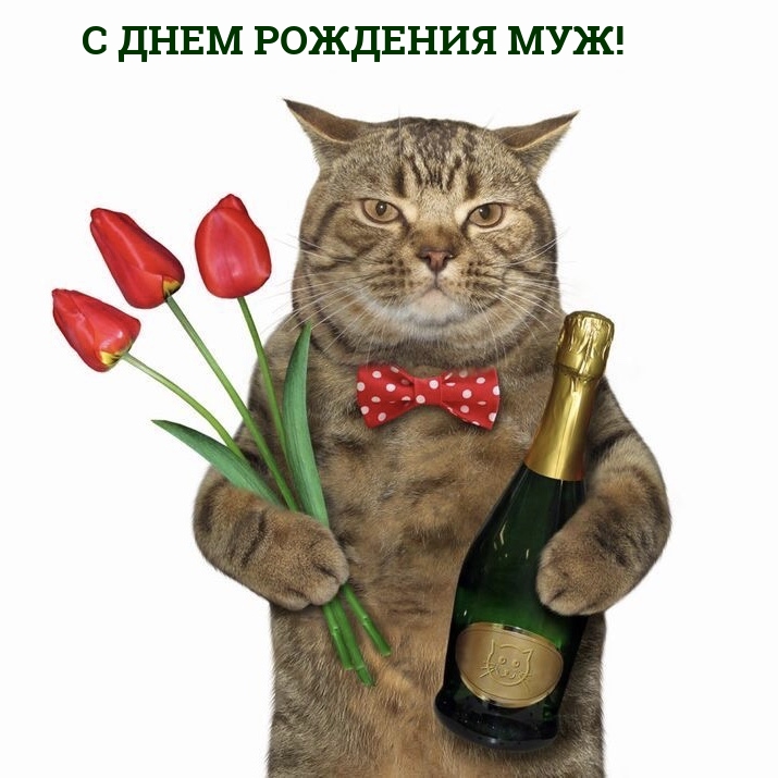 С днем рождения муж!