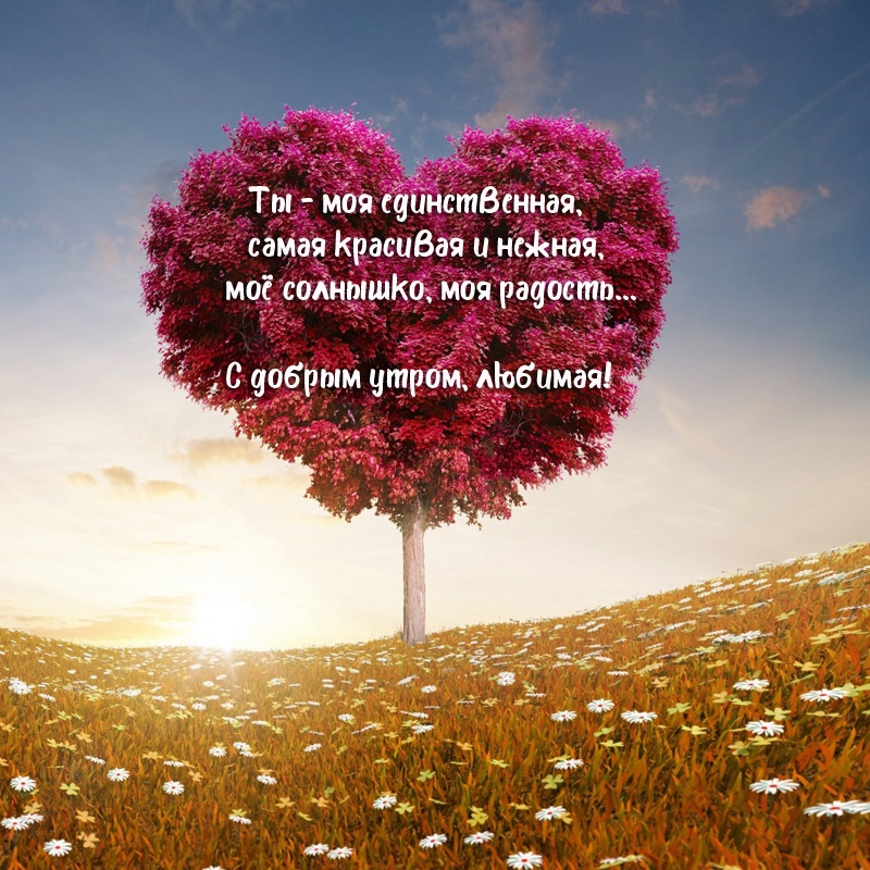 Ты - моя единственная, самая красивая и нежная