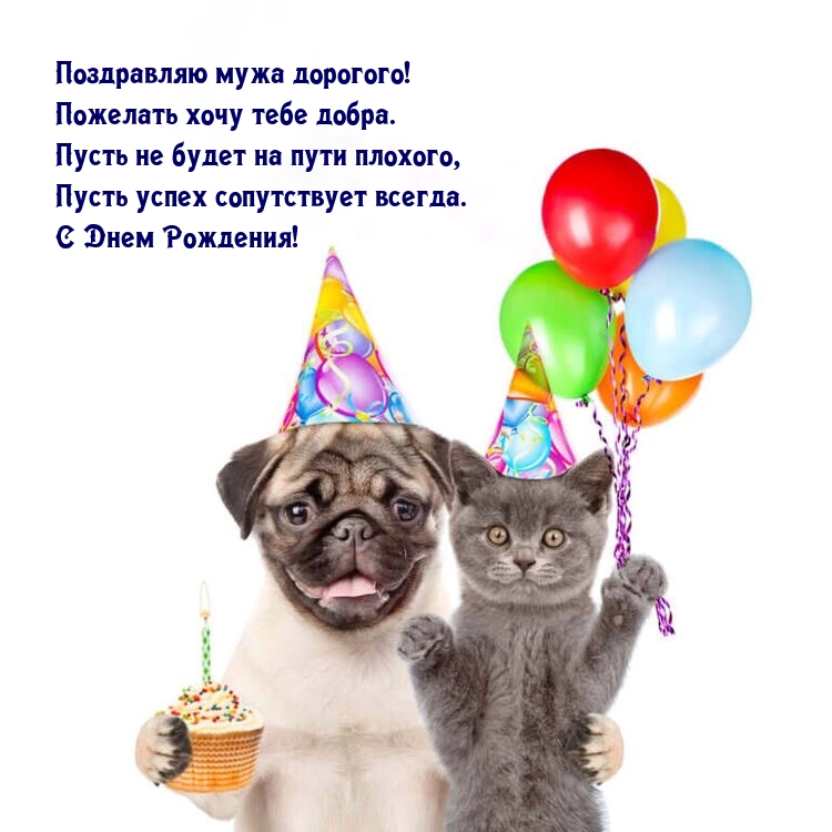 Поздравляю мужа дорогого! Пожелать хочу тебе добра.