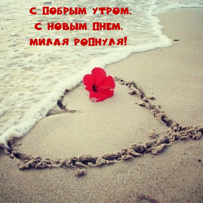 С добрым утром, С новым днем, Милая роднуля!