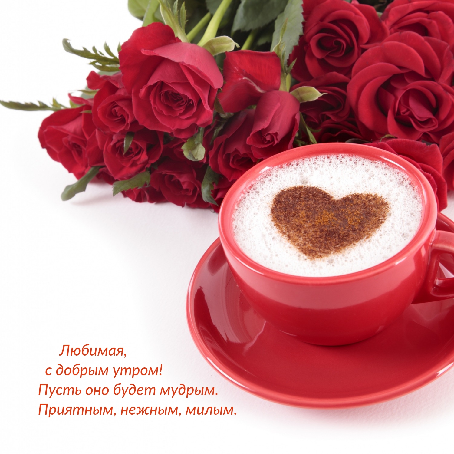 Любимая, с добрым утром! Пусть оно будет мудрым.