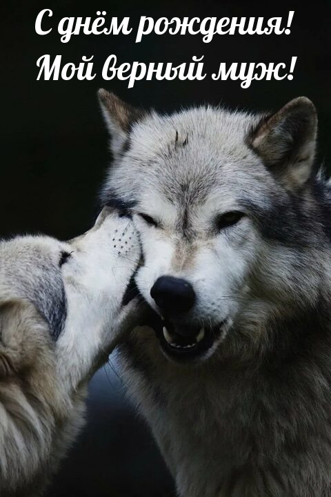 С днём рождения! Мой верный муж!