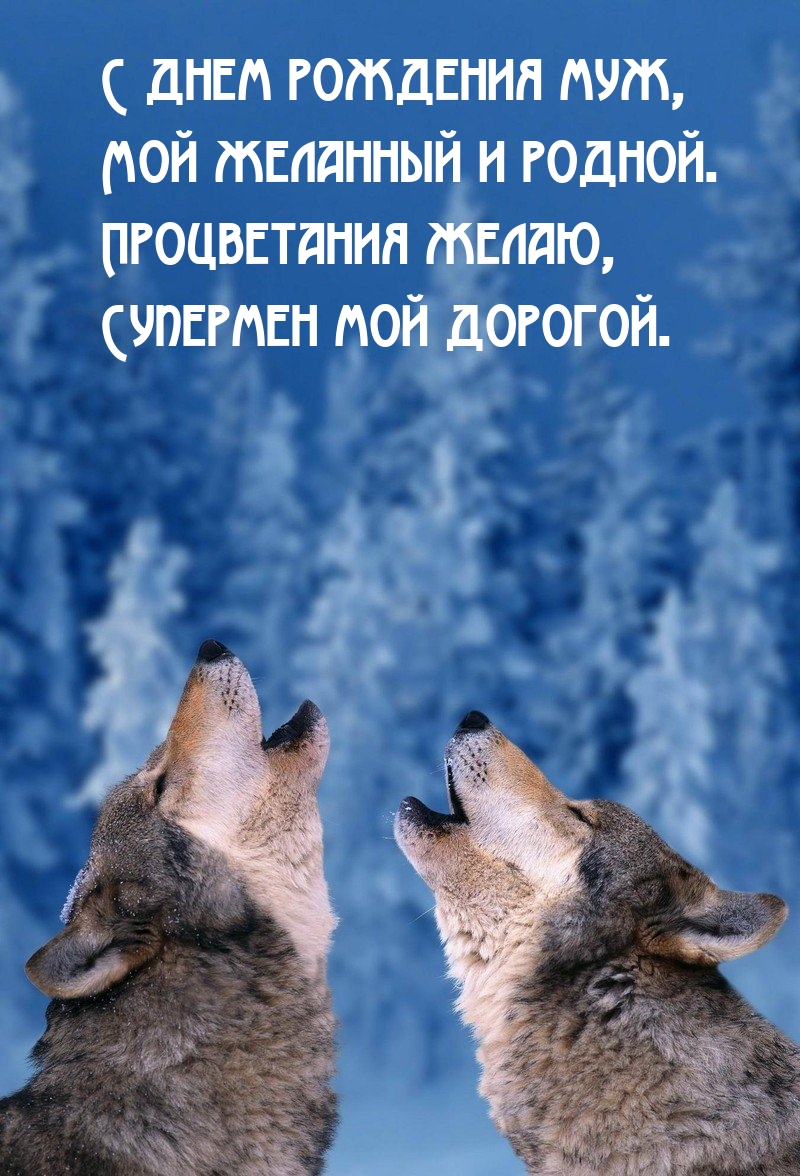С днем рождения муж, мой желанный и родной.