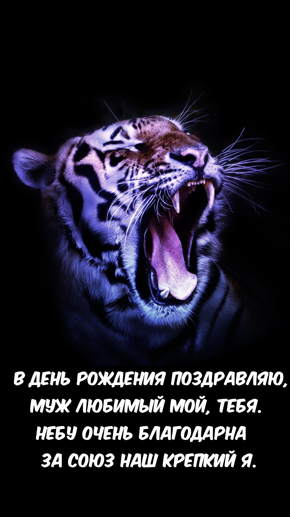 В день рождения поздравляю, муж любимый мой, тебя.
