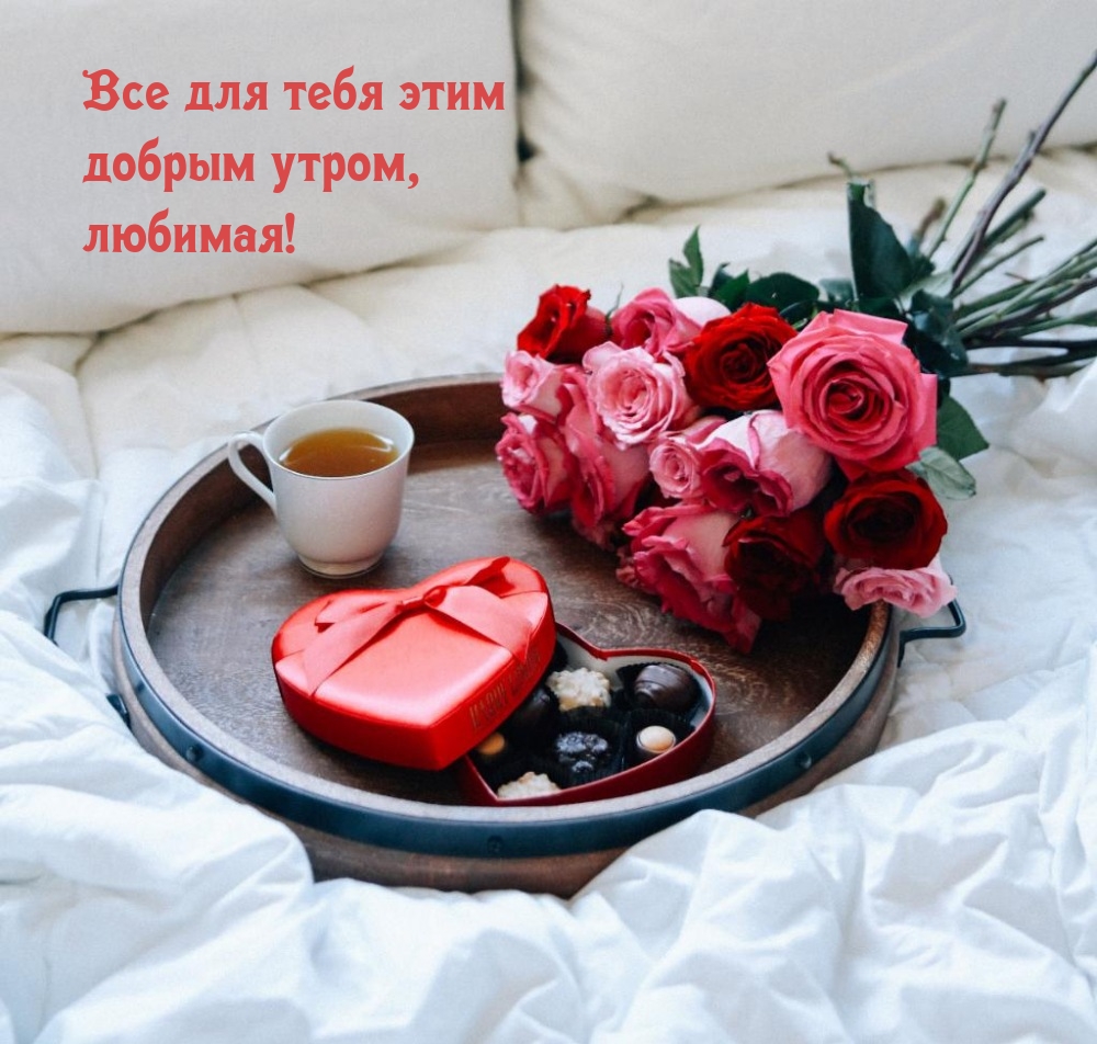 Все для тебя этим добрым утром, любимая!